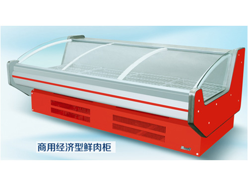 商用經濟型鮮肉柜